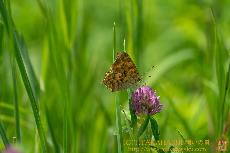 ../Images/7R240808 (14).jpg